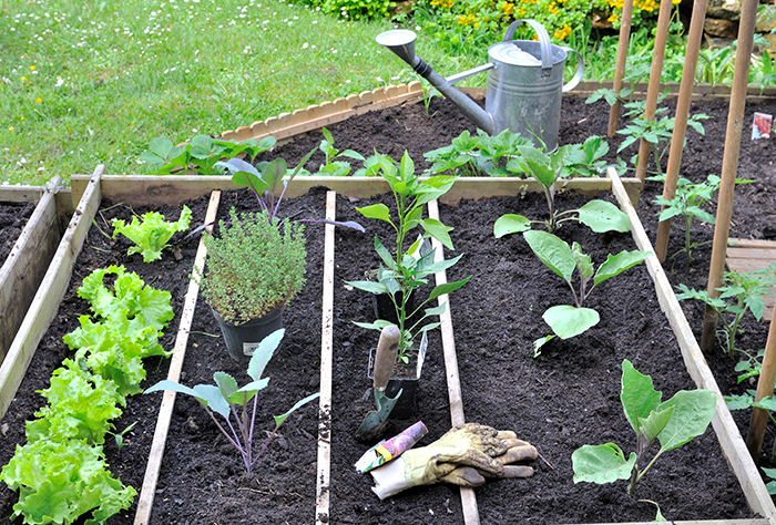 Confinement : Mon potager anti-crise à la maison !