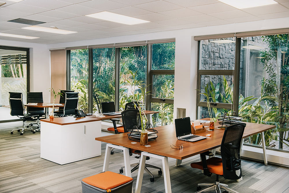 How to design an eco-friendly office space?